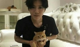 爆料鹿晗父母养狗视频,温馨家庭生活引网友热议