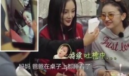 李小璐父母爆料视频最新,揭秘娱乐圈背后的真相