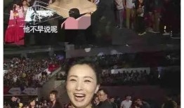大瓜娱乐圈爆料85,娱乐圈风云再起，幕后真相曝光