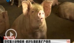 今日动物爆料新闻最新,今日动物爆料新闻揭秘