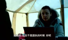 电影雪海在线观看,冰封岁月的深情守望