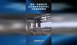 执行官最新爆料视频,执行官最新爆料视频深度解析