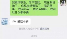 樊小慧爆料丈夫是谁啊视频,揭秘背后惊人真相