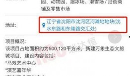 爆料最新项目有哪些内容,前沿科技与创新应用全解析