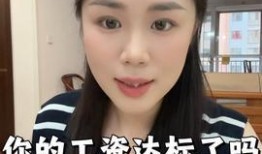 头条小姐姐爆料视频大全,揭秘娱乐圈幕后真相