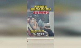 网友爆料网红视频下载大全,一网打尽热门短视频