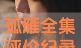 孤雁在线观看,追寻孤独灵魂的飞翔之旅