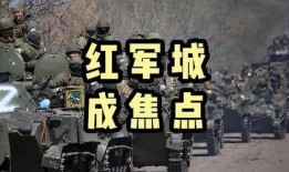 军旅热点爆料视频播放,视频播放背后的故事与真相