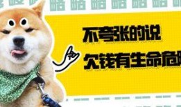 天空大哥爆料小羊视频,小羊视频背后的惊人真相