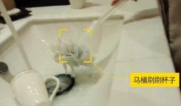 马桶来爆料视频,揭秘生活隐私瞬间