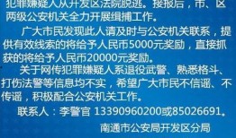 南通最新爆料视频,城市变迁与民生发展