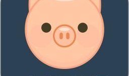 网红小猪爆料视频播放下载