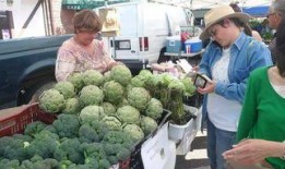 皇后吃蔬菜爆料视频播放,揭秘宫廷饮食文化新视角
