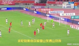 中超泰山队领队爆料新闻,备战新赛季背后的故事与挑战