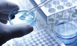 核酸爆料视频大全最新,最新视频大全深度解析