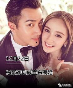 娱乐圈吃瓜小说大合集,揭秘明星背后的秘密与爱恨情仇